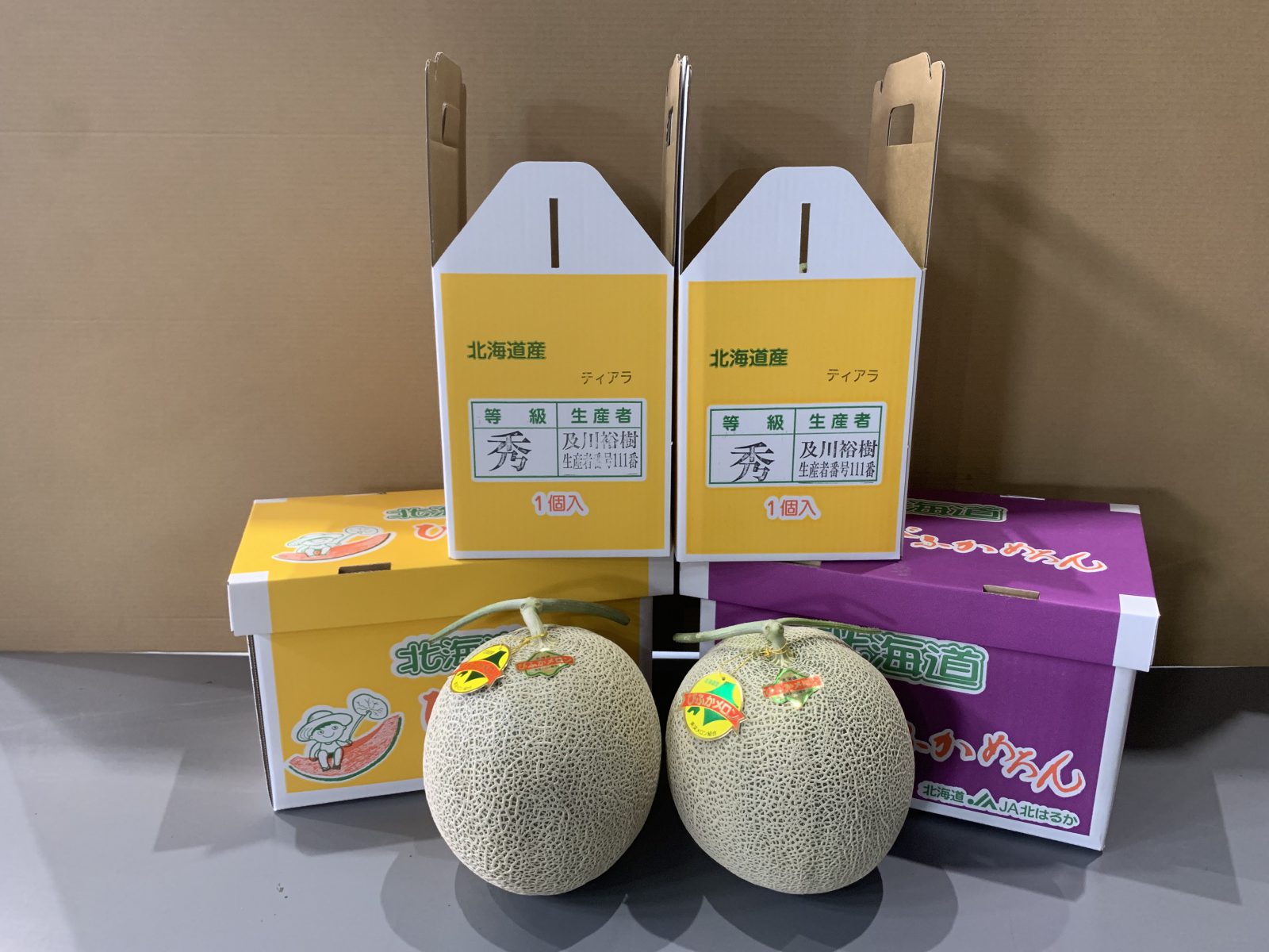 美深メロン初出荷！ | 北はるか農業協同組合